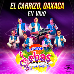 Chilena Pinotepa / La Chilena Bélica / Las Amarillas / Alingo Lingo (En Vivo)