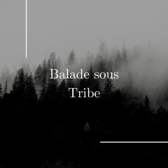Balade Sous Tribe