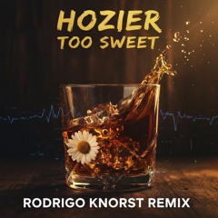 Hozier-Too Sweet (Rodrigo Knorst Remix)