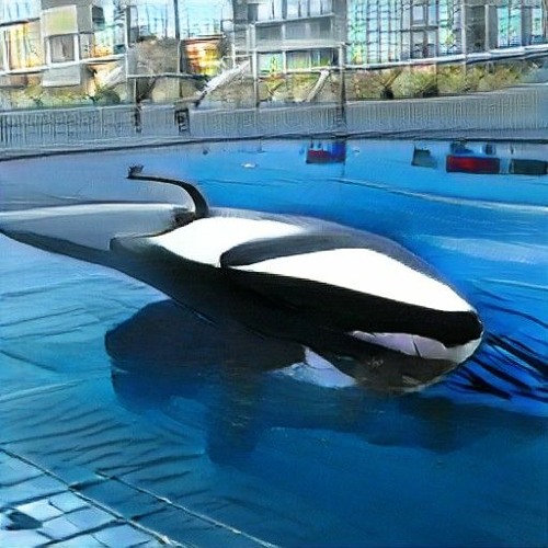 killawHALE (osyrisisrael)