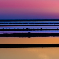 Sparky and true religion B2B s