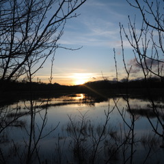 6. Broad Loch Shallow Waters