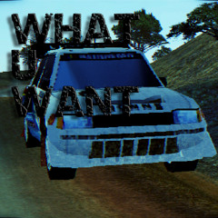 WHAT U WANT (Rallycar Remix)