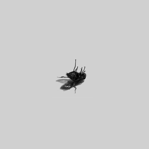 Singular Anomalies - Kamaloka (EP) [GRETA]