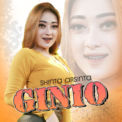 Ginio (Remix)