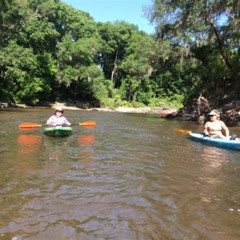 Best Things To Do In Jasper Florida Tours Reviews