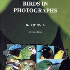 DOWNLOAD PDF 📬 Puerto Rico's Birds in Photographs by  Mark W. Oberle KINDLE PDF EBOO