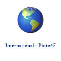 International - Pinto47