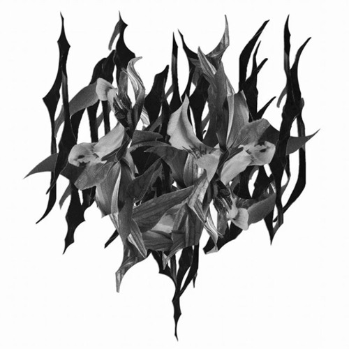 Blood & Innocence - Yves Tumor