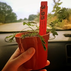 PYC - So Lucky (Buy Link --> Free Download)