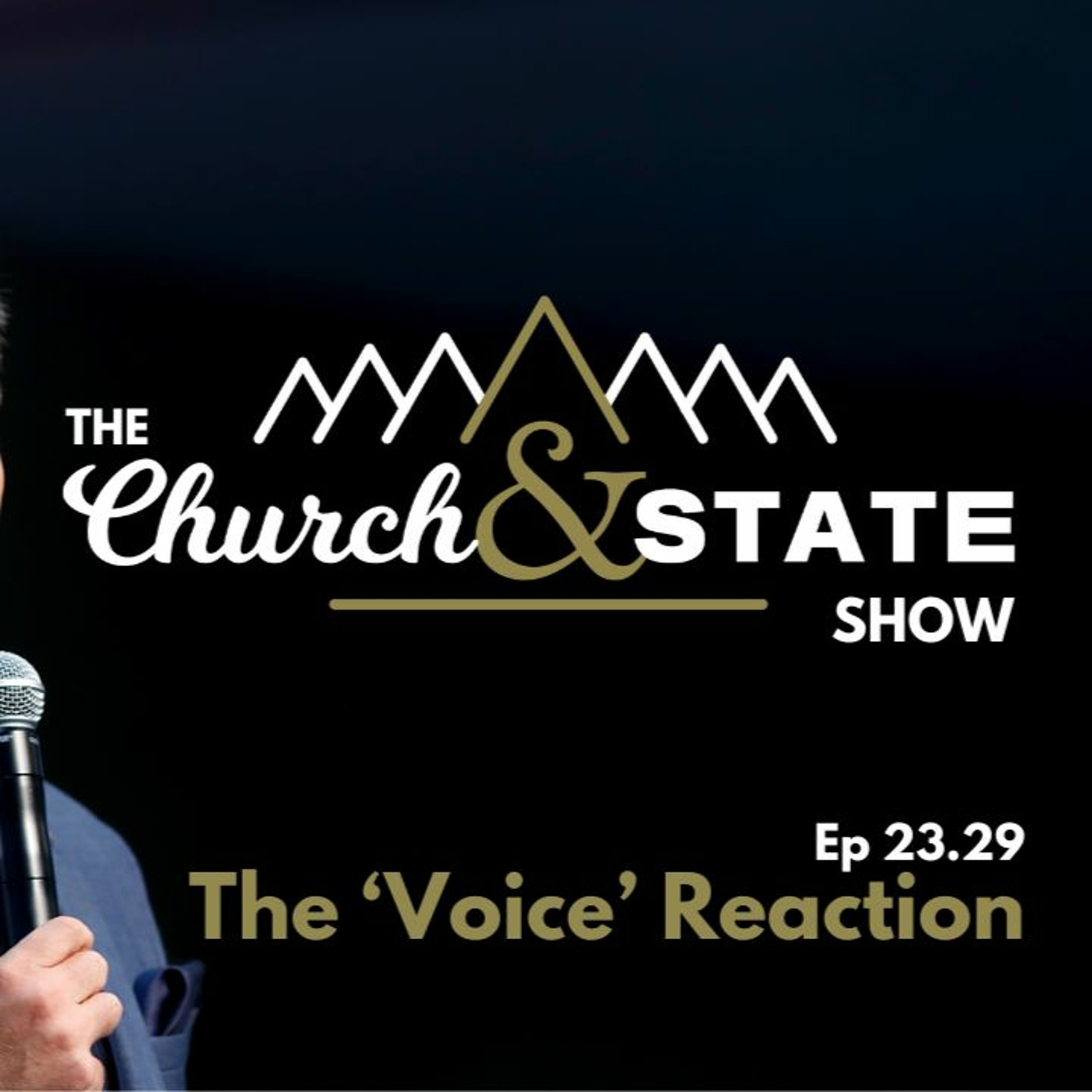 Dave Pellowe reacts to "The Voice" post mortem on ABC's Insiders