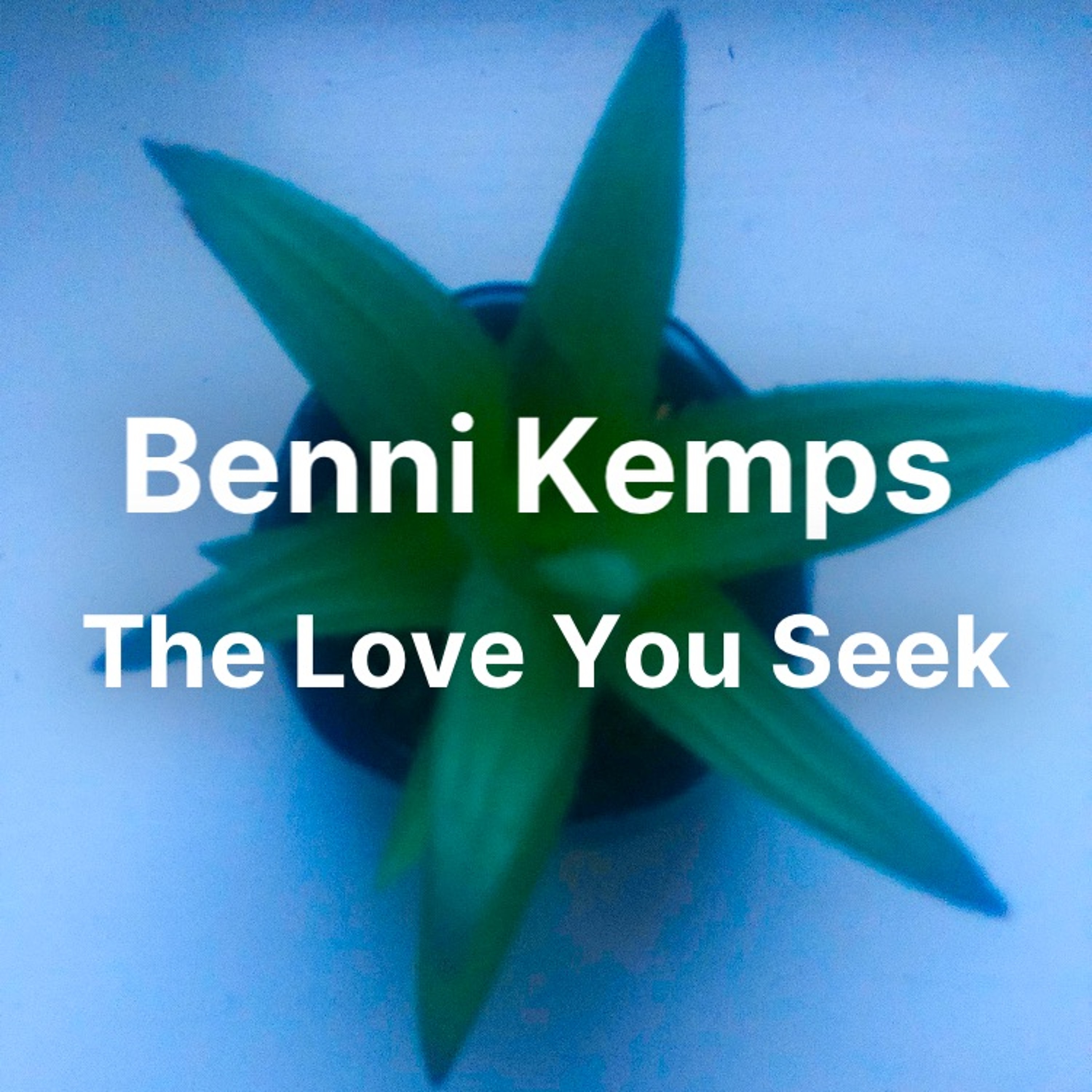 The Love You Seek