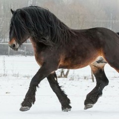 WindowsOpen Early2022work