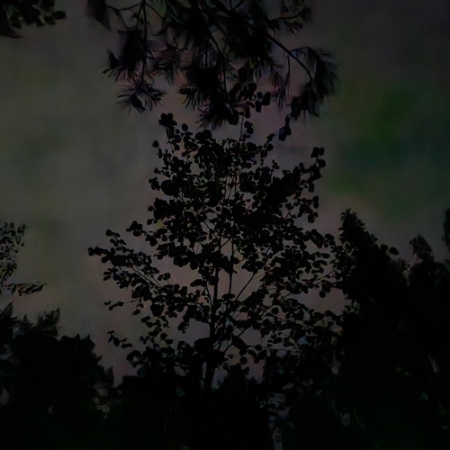 Skeleton! (Remix)-NEVA AGAIN