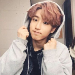 Stray Kids (스트레이 키즈) HAN (한) - D (Half Moon