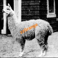 Alpaca sauce