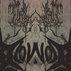 ACID ROMANCE (by FIIKRA) x LEVITATION (by Zentryc & BLURREDMOVEMENT)