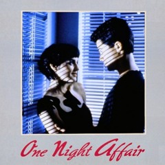 One Night Affair
