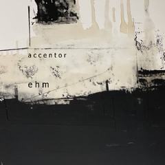 accentor