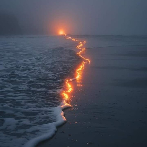 Dreamscapes In Cinematic Slow Motion
