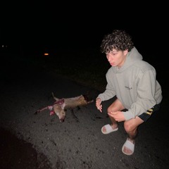 twin