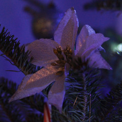 Travsantos(Ft. Yøung X)(Prod. F.Z beats)