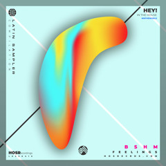 Bshm - Feelings