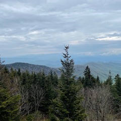 Mr.Kitty - After Dark (Rock Cover)