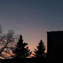 2023 CIGO (ft. petrik)