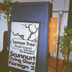 Lemon Tree (Jungle Remix)