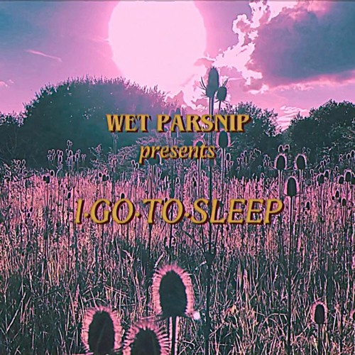 I Go To Sleep (Cher Cover)