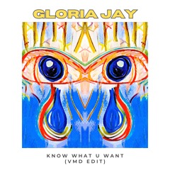 Know What You Want (VMD Edit) - Gloria Jay