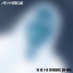 Tu ne me reverras jamais