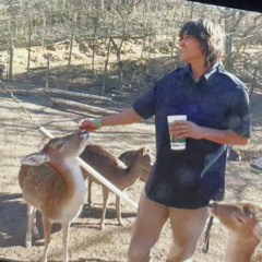 rosemary hill observatory