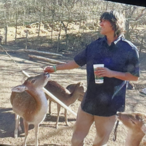 rosemary hill observatory