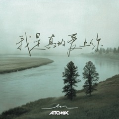 En - 我是真的爱上你 (Atomix Remix)