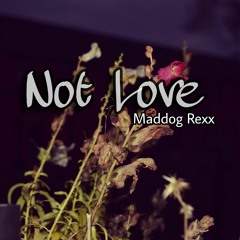Not love - Maddog Rexx