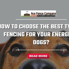 How to Choose the Best Type of Fencing for Your Energetic Dogs