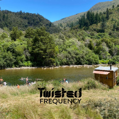 Twisted Frequency Ambient/Chill/Downtempo Set - 2nd January 2025