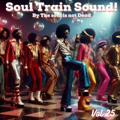 SOUL TRAIN SOUND 25
