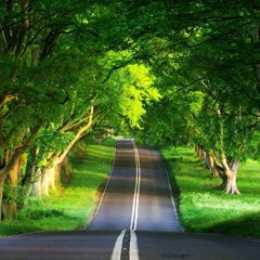 GREEN MOOD VIBES