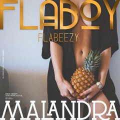 Flaboy - Malandra - ft. BraÃºlio ZP (Prod.LipikiNoBeat)