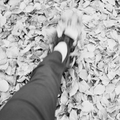 Fertile Hearts feat. Jessie Monk