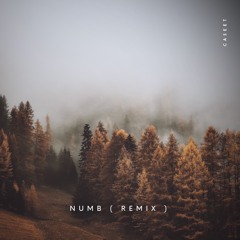 Elderbrook - Numb ( Caseet Remix )