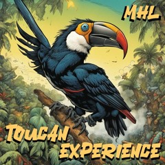 Toucan Experience