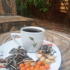 معتز صباحي  سلافة الفن   أغاني وأغاني 2023.mp3