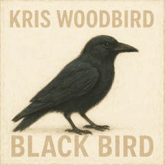 Black Bird, I need you
