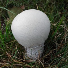 543 Mixdown0-1_normalised