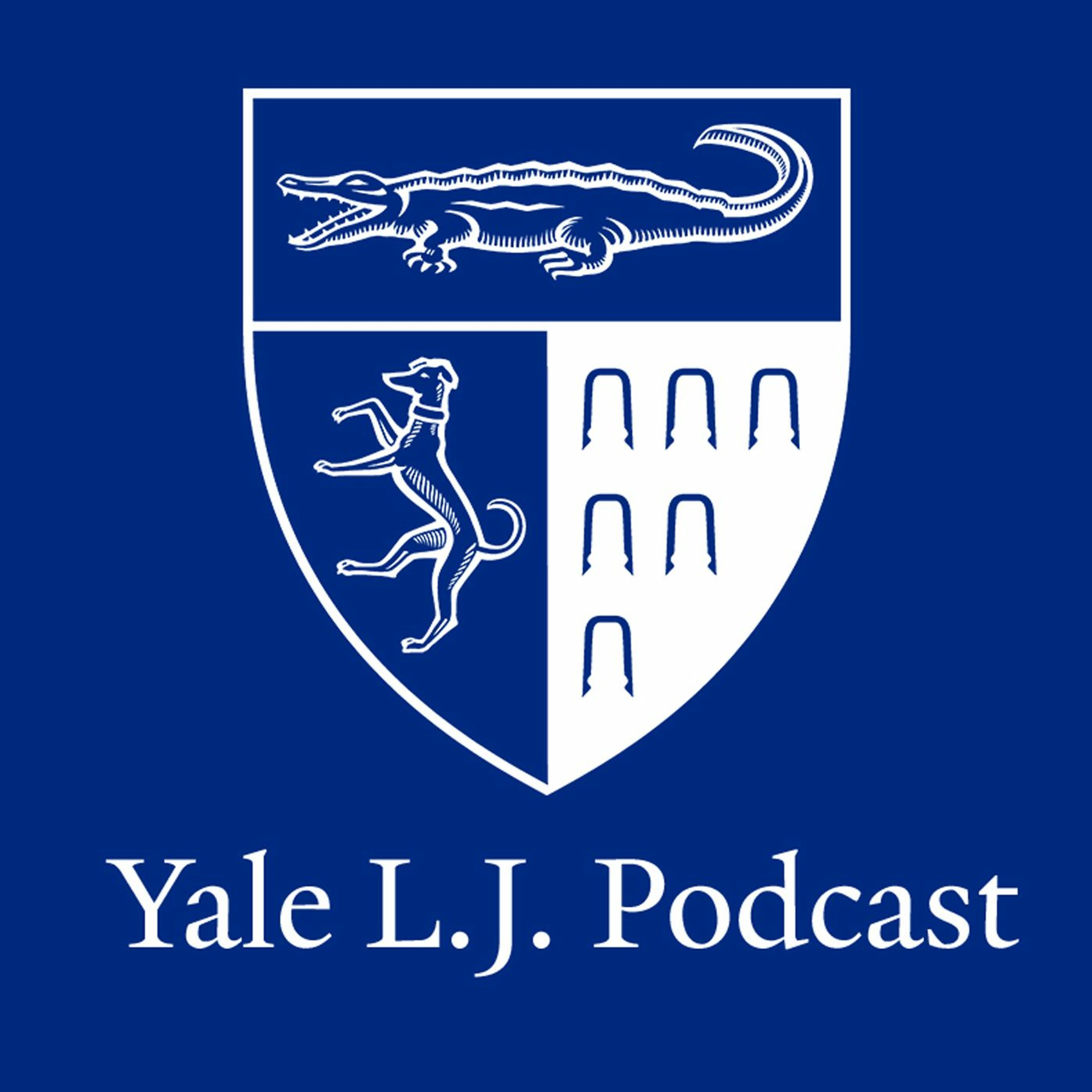Introducing Professor Payvand Ahdout, YLJ’s Emerging Scholar of the Year episode artwork
