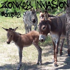 BOU$HY - Zonkey Invasion (CLIP)